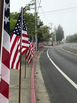 Flags on Main St